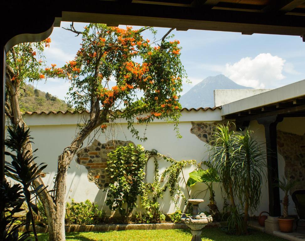 La Casa De Don Pedro Otel Antigua Dış mekan fotoğraf